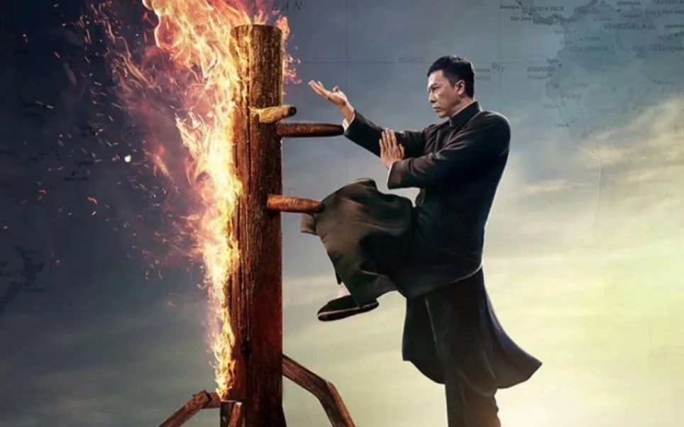 Wing Chun Martial Arts Practitioner